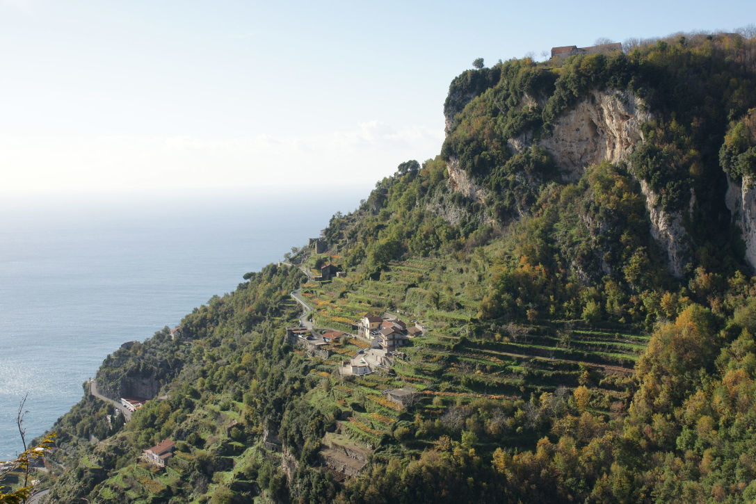 wineryfurore