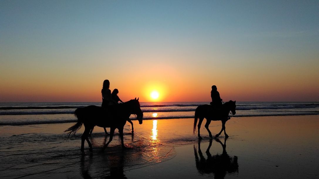 horse_riding